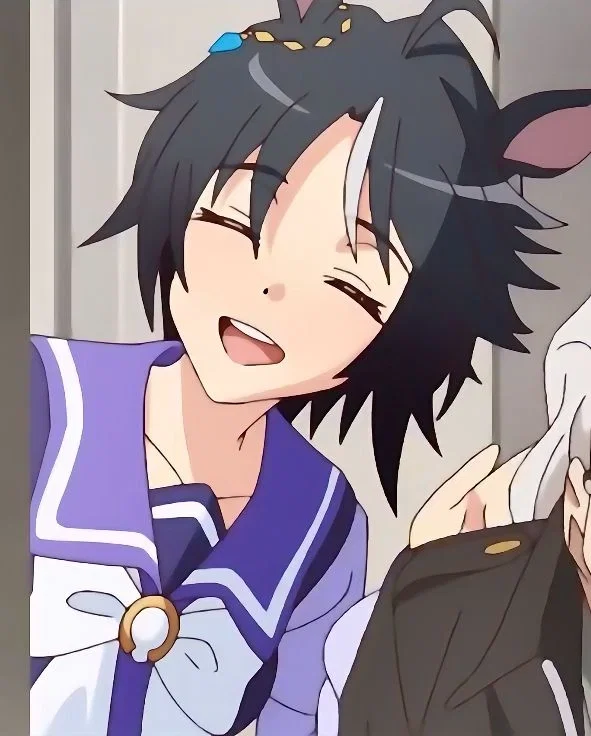 Fuji Kiseki — An Illusion