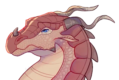 Boulder || Wings of Fire