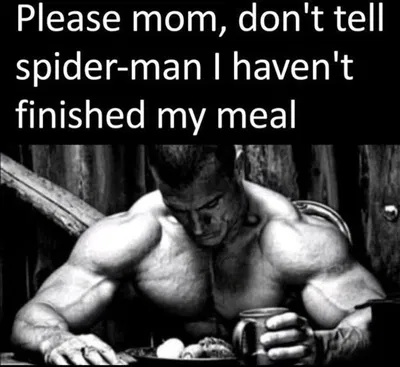 Chaotic household
