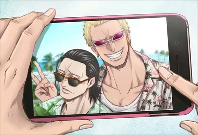 Sir Crocodile and Doflamingo