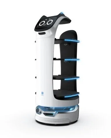 Kerfuś; Service robot.