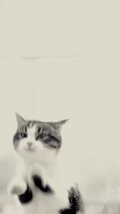 CLICK MEEEE