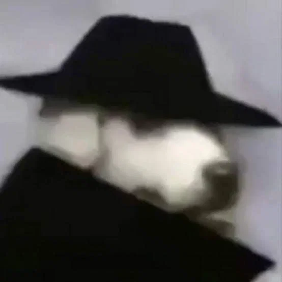 Undercover dog