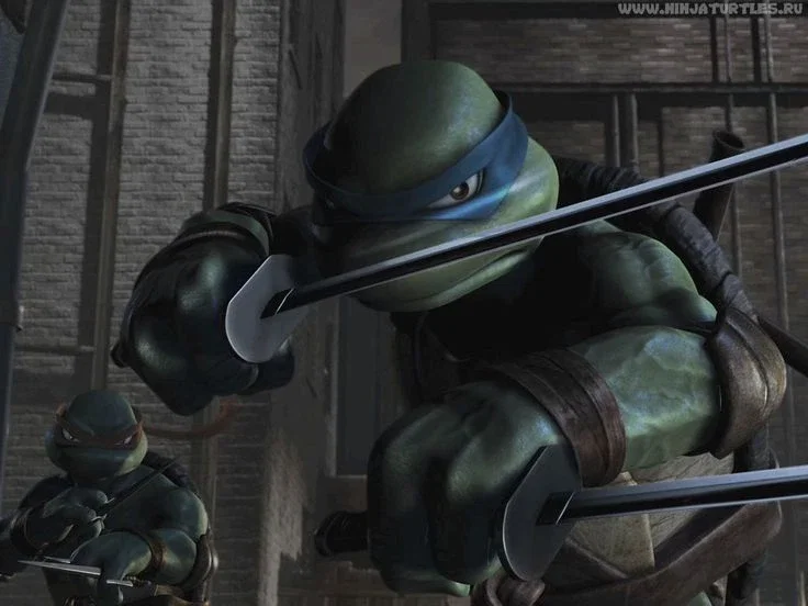 Leonardo 2007