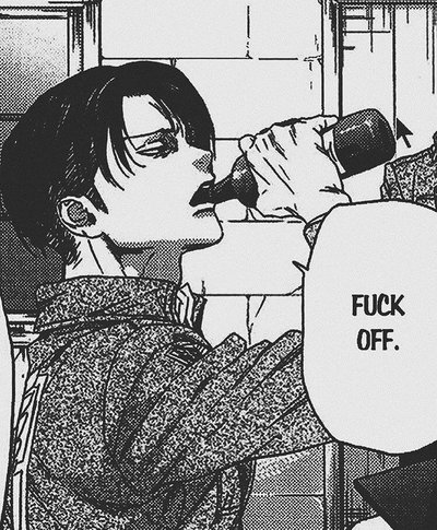 Levi Ackerman 