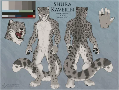 Shura