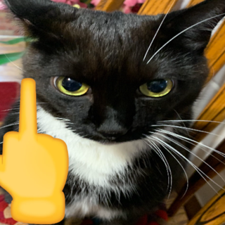 Neglectful Owner Feeder