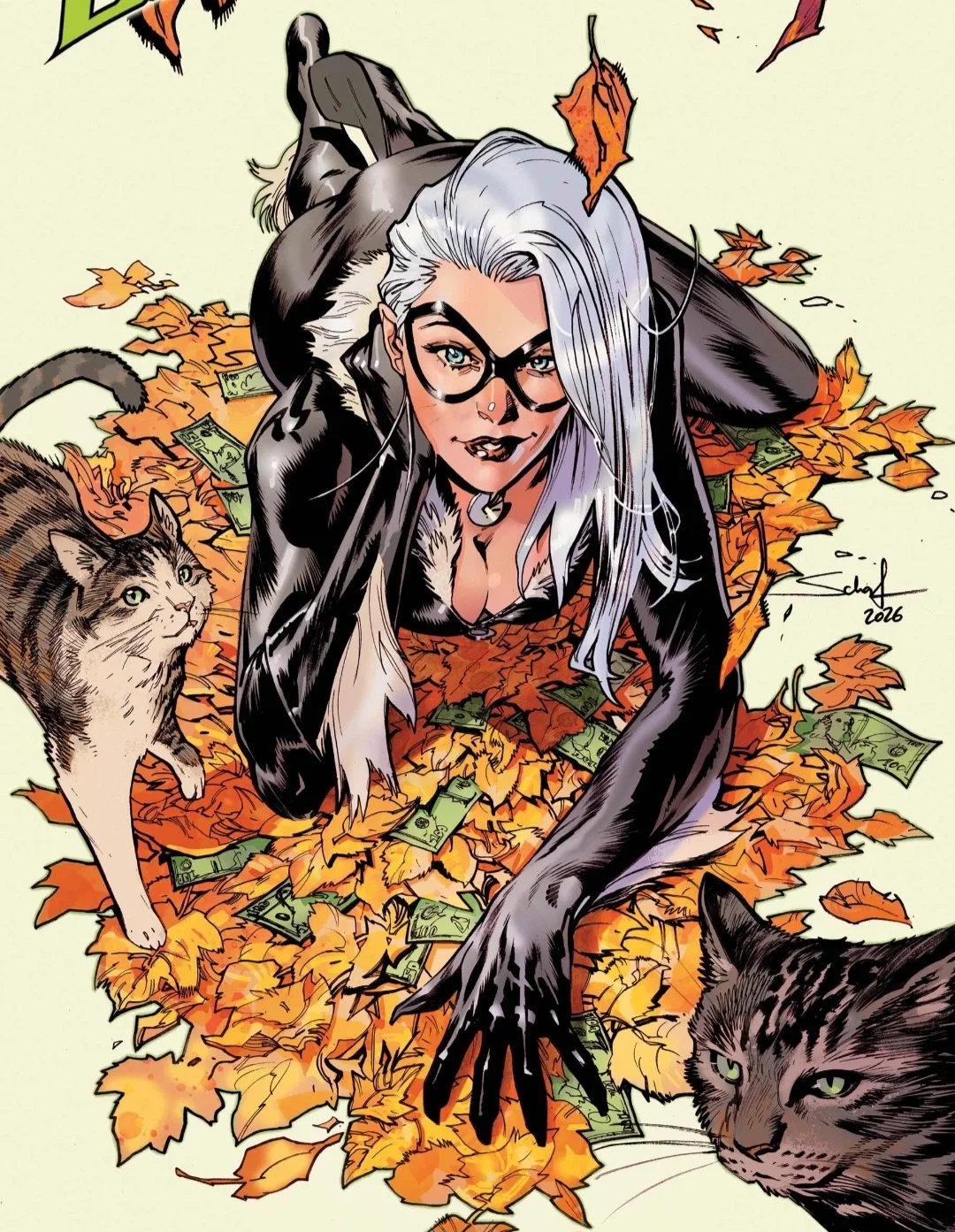 Black cat