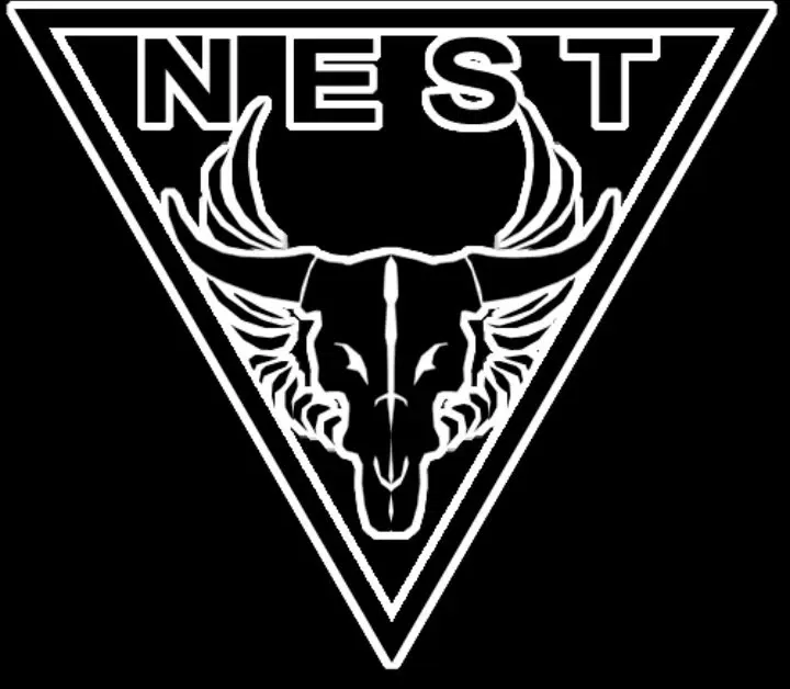 N.E.S.T RPG (TF ROTF)