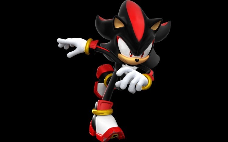 Shadow the hedgehog