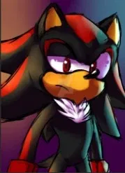 Shadow The Hedgehog 
