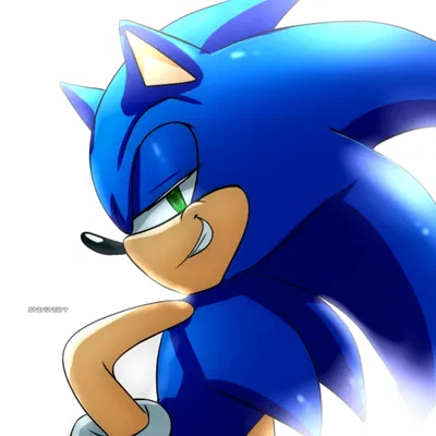 Sonic The Hedgehog 