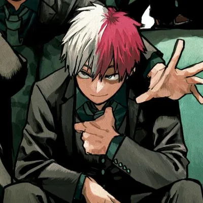 Shoto todoroki