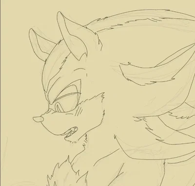 Shadow the Hedgehog