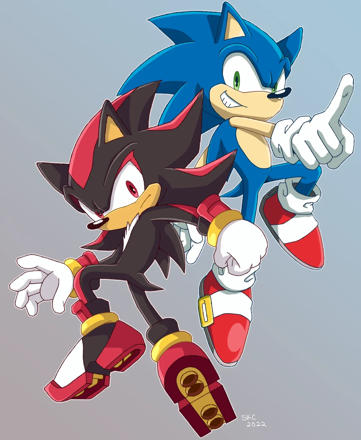 Sonic and Shadow the Hedgehog