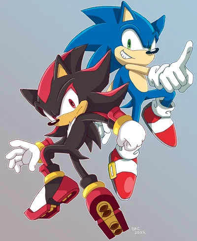 Sonic and Shadow the Hedgehog