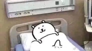 BOT REQUESTS | OPEN