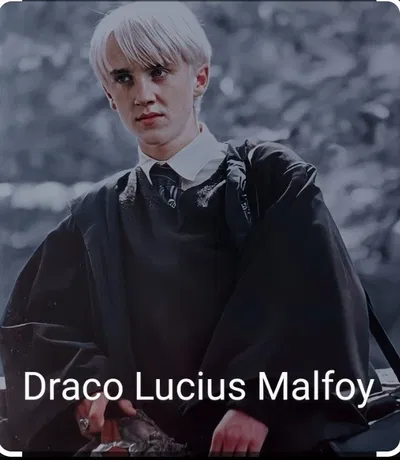 Draco Lucius Malfoy 