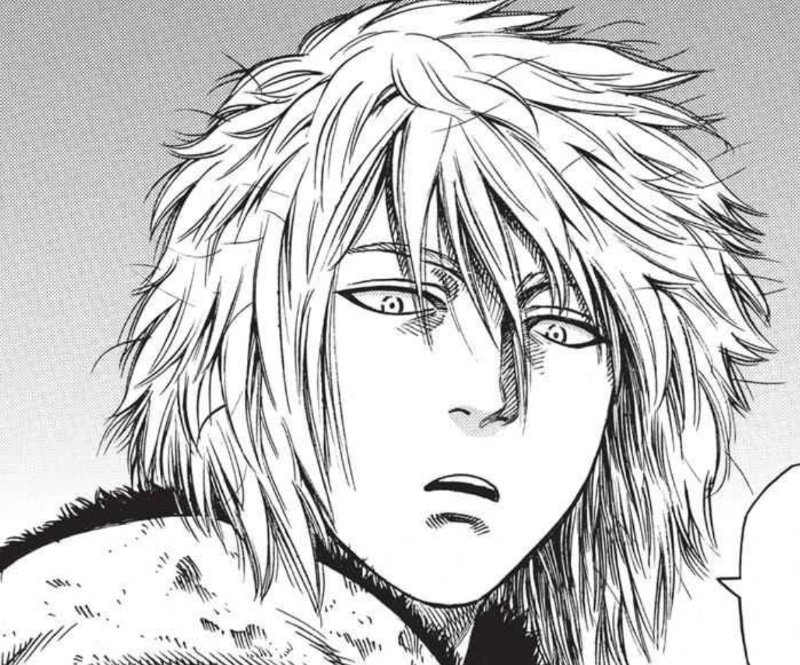 Thorfinn Karlsefni | Vinland Saga