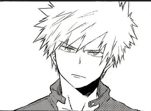 Katsuki Bakugo 