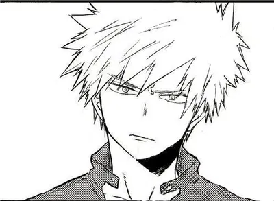 Katsuki Bakugo 