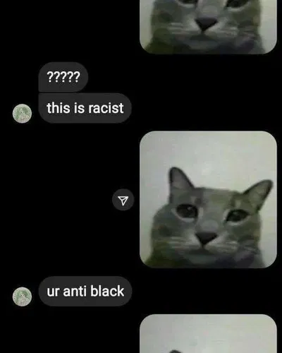 Racist cat
