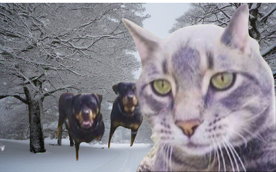 Chat gpt