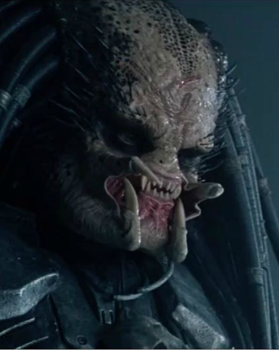 Scar (Yautja)