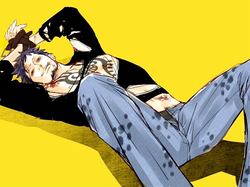 Trafalgar Law (Slave AU)
