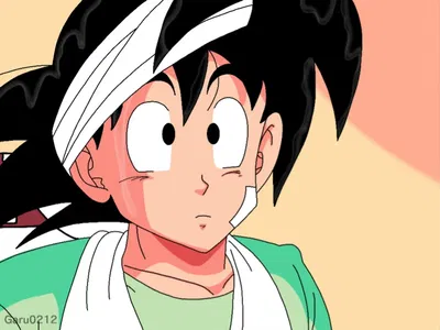 Goku in hospital