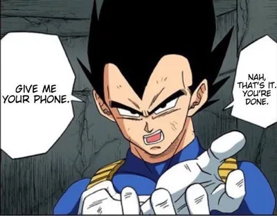 Vegeta - Your elder brother