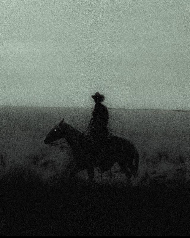 Spade || Vampire Cowboy