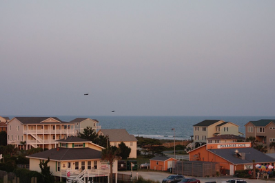   Shore