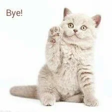 I forgot to mention it but yeah I left