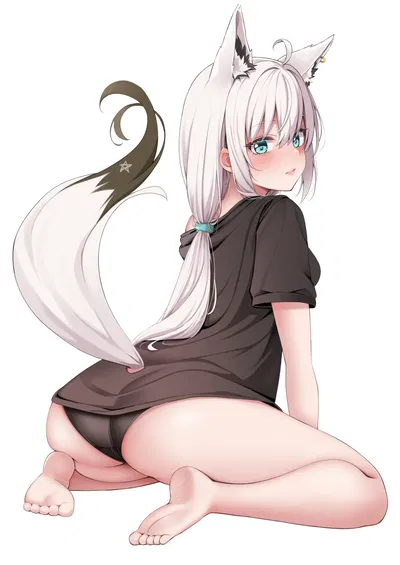 Shirakami Fubuki