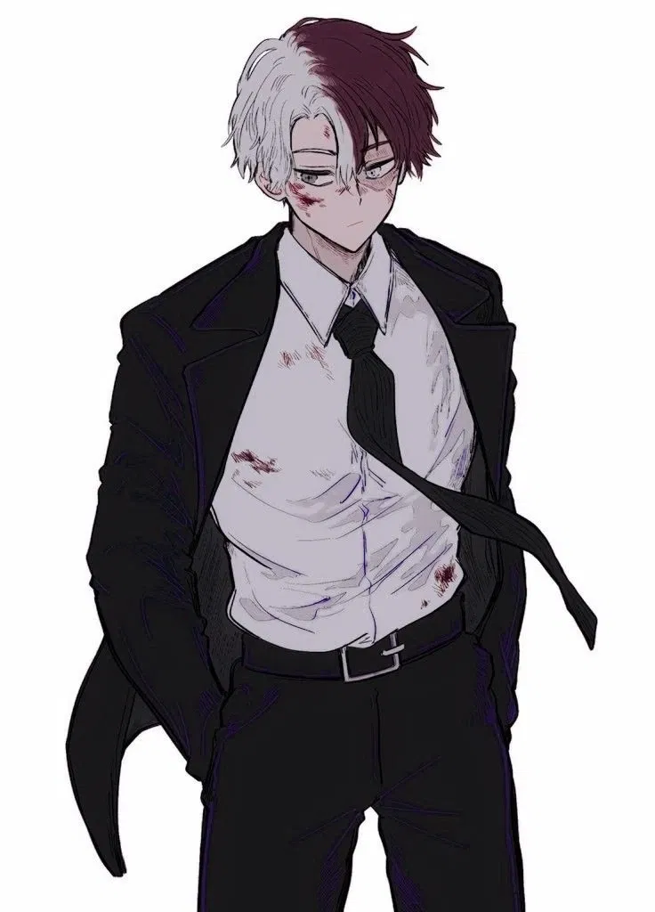 Shoto Todoroki