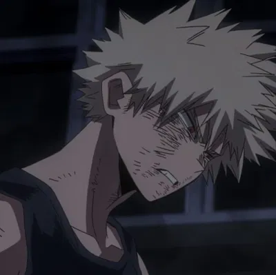 Katsuki Bakugou 