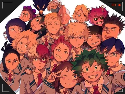 Boku No Hero Academia 