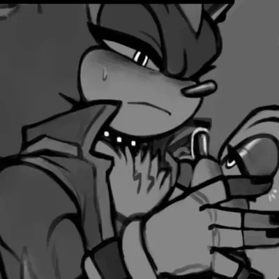 Shadow The Hedgehog