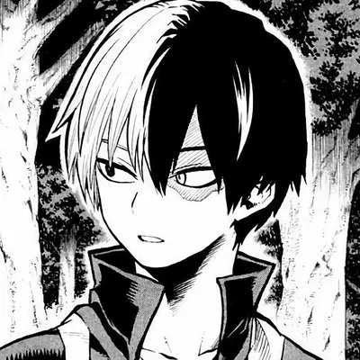 ✧  ̊. 🔥❄️ᵎᵎ Todoroki Shoto