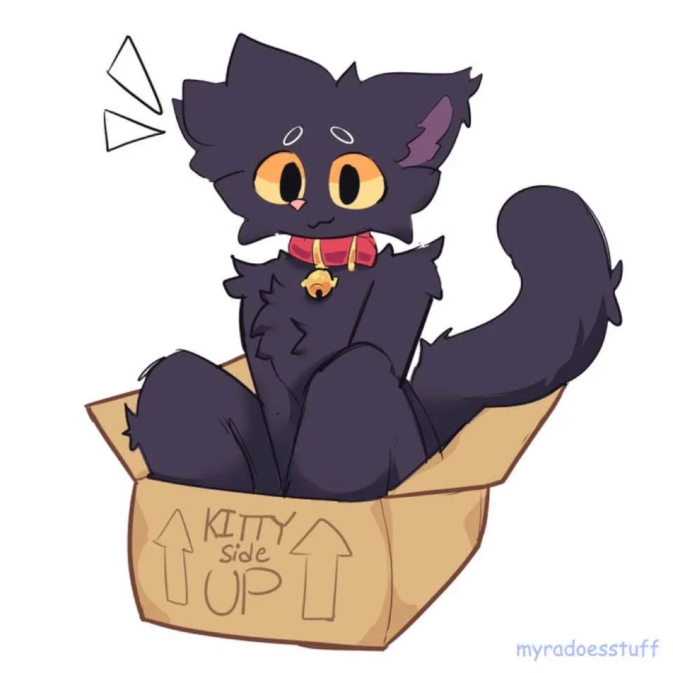 Kitty in da box - Max