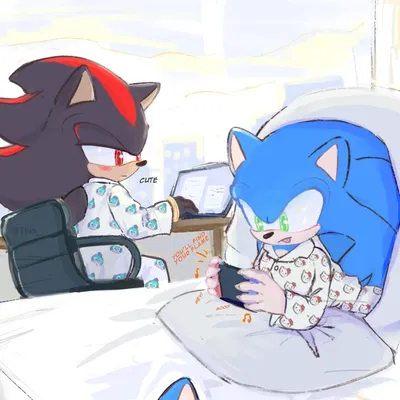 ➵ Sonic & Shadow