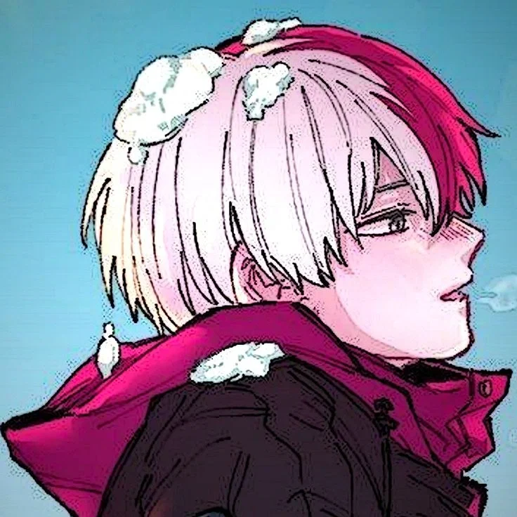 Shoto Todoroki (Shoto) ❄️🔥 || My Hero Academia || MHA 