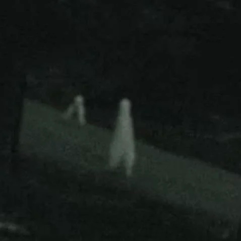 Group of Fresno Nightcrawlers