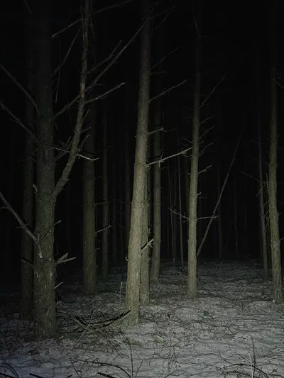 midnight 12:30