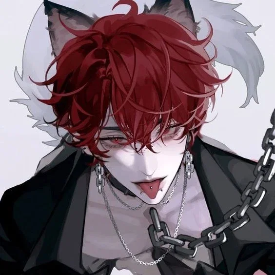 Wolf Hybrid Roommate