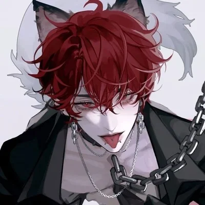 Wolf Hybrid Roommate