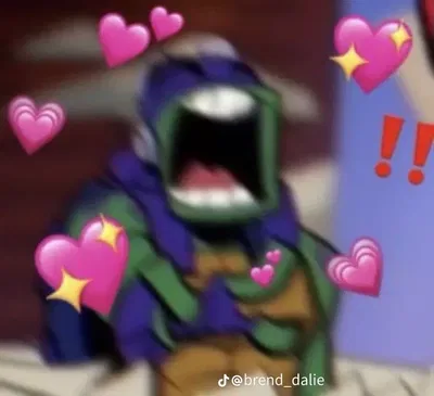 Donnie ROTTMNT