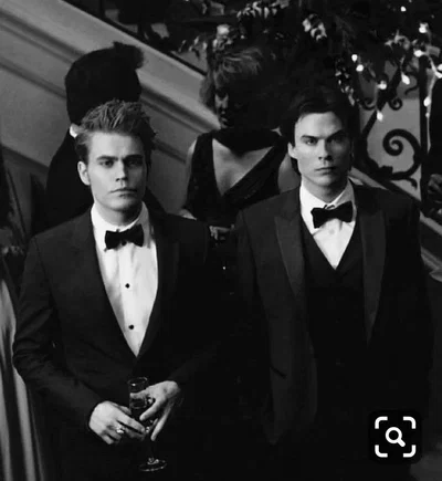 Damon & Stefan Salvatore 