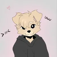 Kitty the Femboy Dog